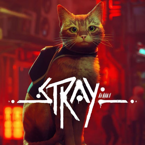 ستراي (Stray) – لعبة القطة الشاردة